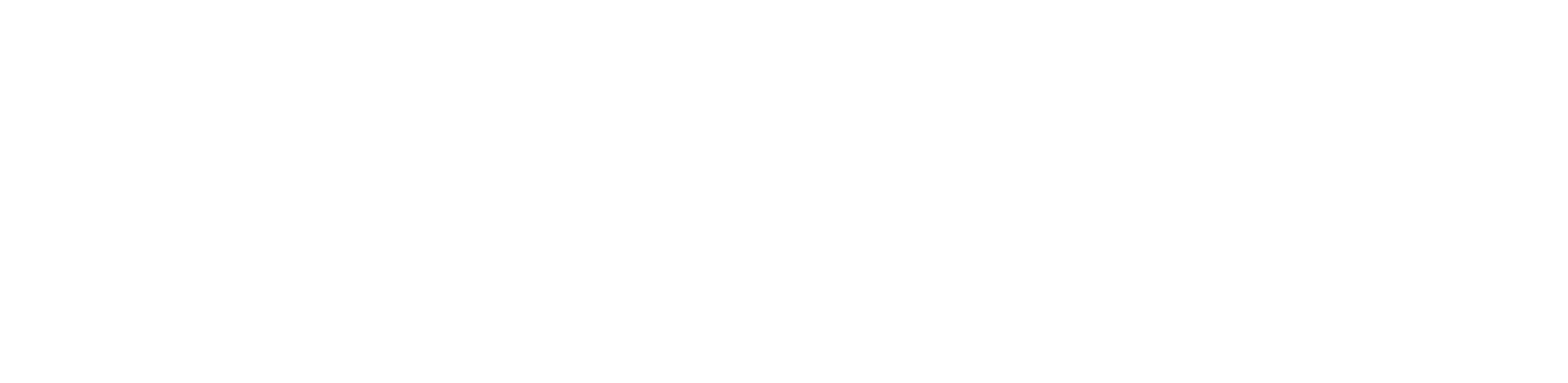 Intellectica Solutions Driven
